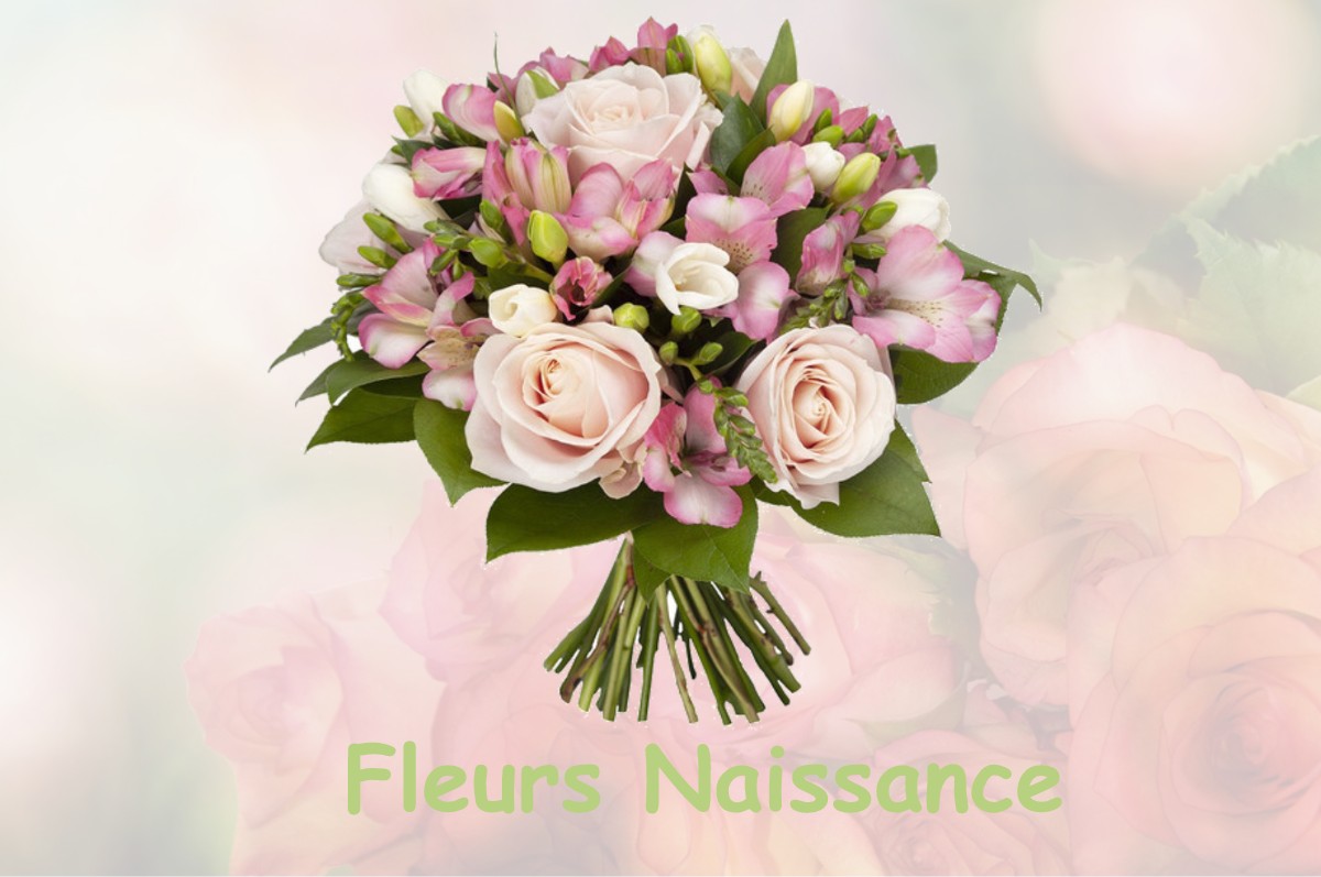 fleurs naissance LUBBON