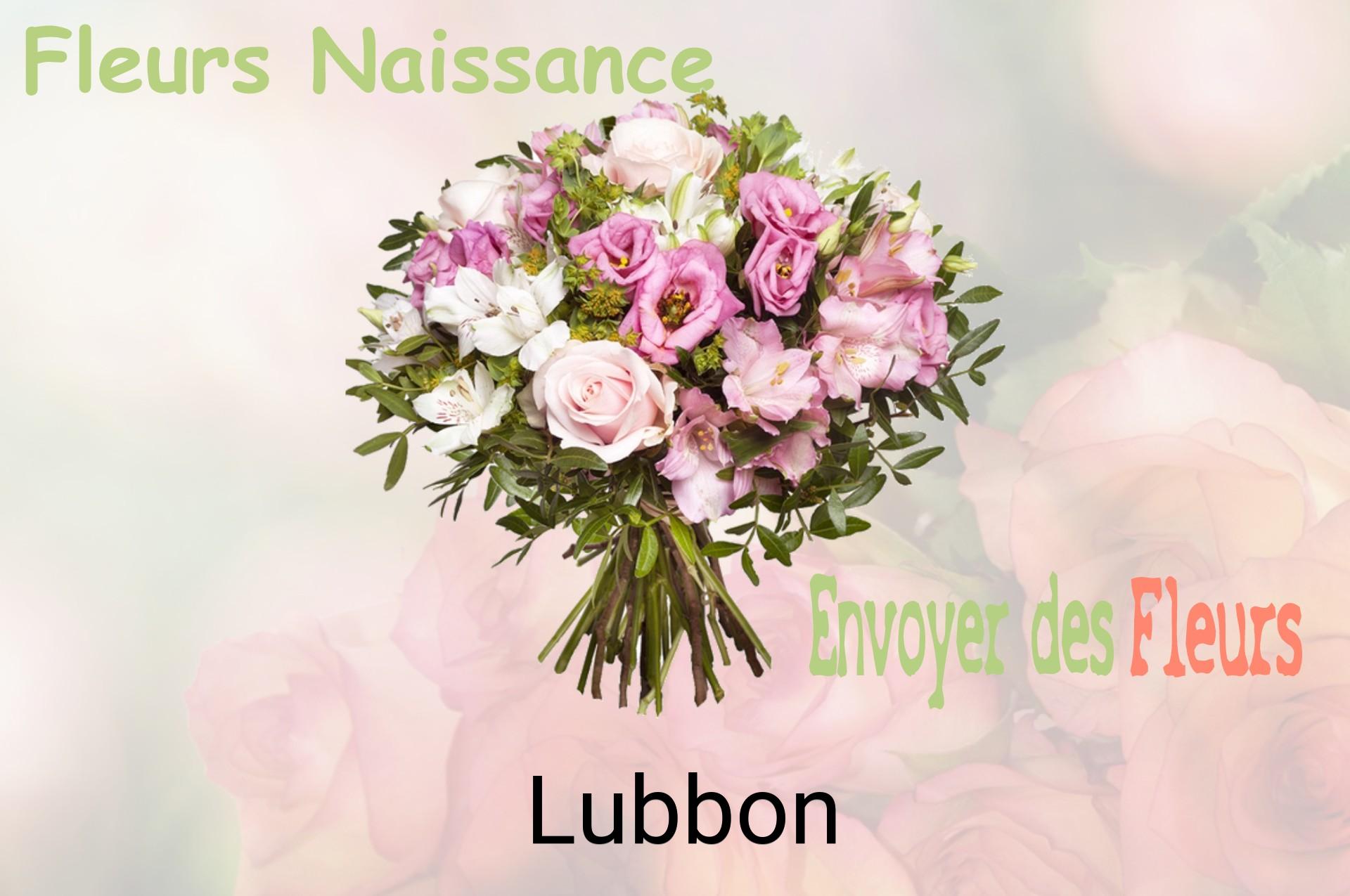 Bouquet de fleurs de naissance livré à Lubbon